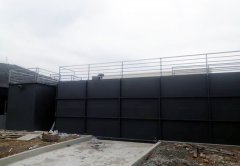 云博_云博（中国）