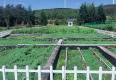 云博_云博（中国）